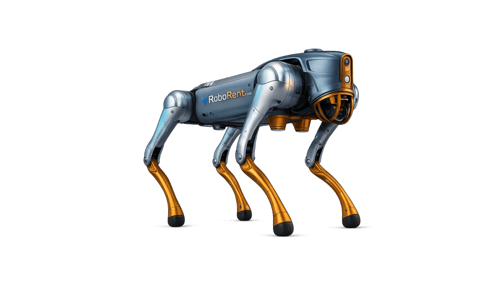 Playful Entertainment Robots