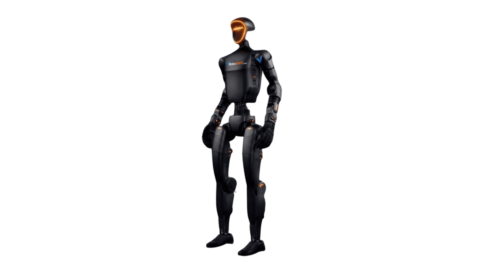 Advanced Humanoid Robot